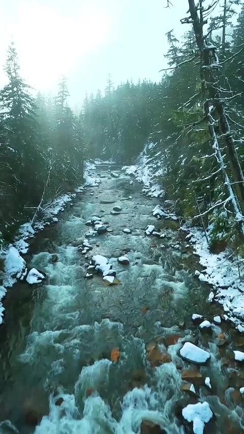 FPV drone flight over the fast moving river with rapids. Stock Footage 317760810