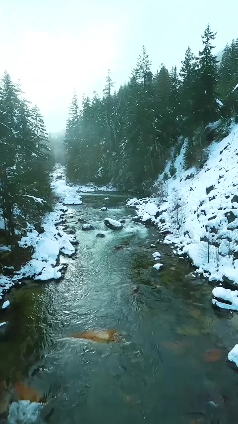 FPV drone flight over the fast moving river with rapids, close to the water. Stock Footage 319841519