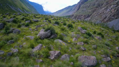 FPV drone flight over a field with stones, in summer between rocks Stock Footage 166059200