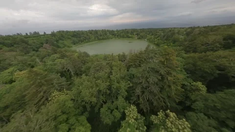 FPV Drone Flight Over Forest with Ocean Back on Rishiri Island, Hokkaido, Japan Video stock 332301161