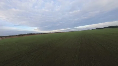 Fpv drone flight over a green field Stock Footage 222945040