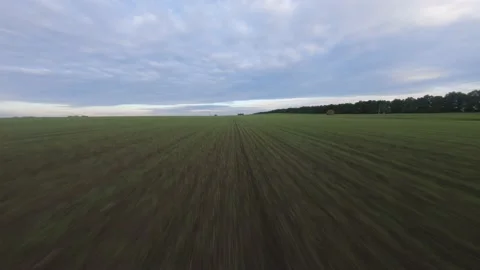 Fpv drone flight over a green field Stock Footage 222945331