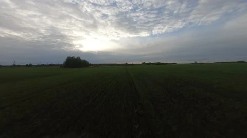 Fpv drone flight over a green field Stock Footage 222946207