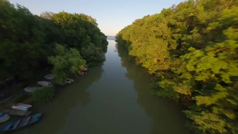 FPV drone flight over Kamchia River through dense forest in Bulgaria. Stock Footage 342544531