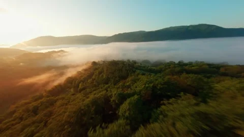 FPV Drone Flight Over Misty Mountains at Sunrise in Czech Republic Video stock 305801387
