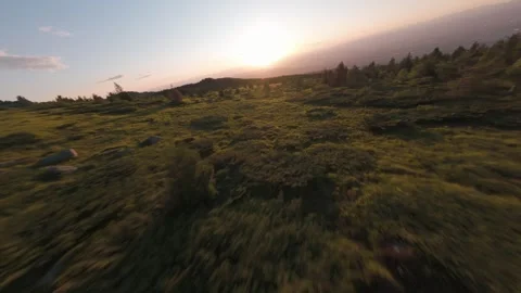 FPV drone flight over mountain vegetation at sunset on Vitosha, Bulgaria. 库存影片 339562002