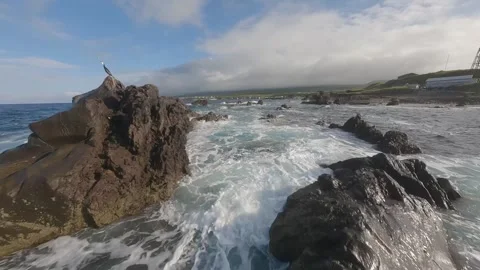 FPV Drone Flight Over Rocky Coast and Ocean at Rishiri Island, Hokkaido, Japan Video stock 331715802