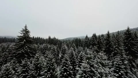 FPV Drone Flight over the Snowy Mountains of Romania 動画素材 264811100