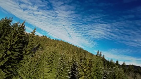 FPV Drone Flight over the Snowy Mountains of Romania 動画素材 264811147
