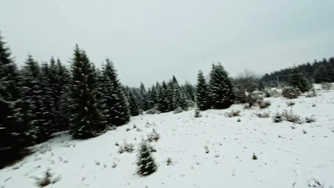 FPV Drone Flight over the Snowy Mountains of Romania 動画素材 264811449