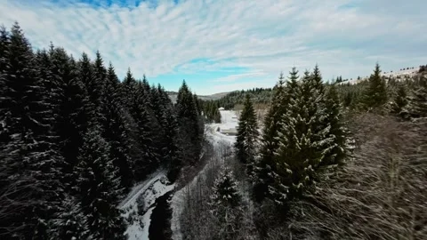 FPV Drone Flight over the Snowy Mountains of Romania 動画素材 264811908