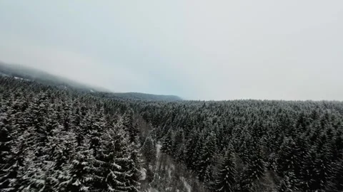 FPV Drone Flight over the Snowy Mountains of Romania 動画素材 264812157