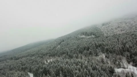 FPV Drone Flight over the Snowy Mountains of Romania 動画素材 264812566