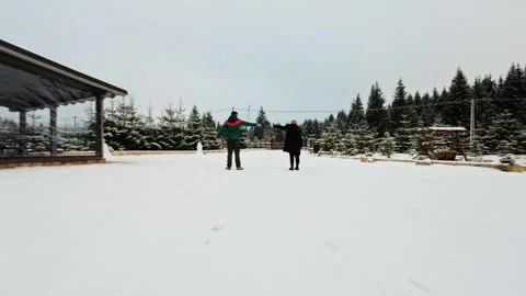 FPV Drone Flight over the Snowy Mountains of Romania 動画素材 264812627