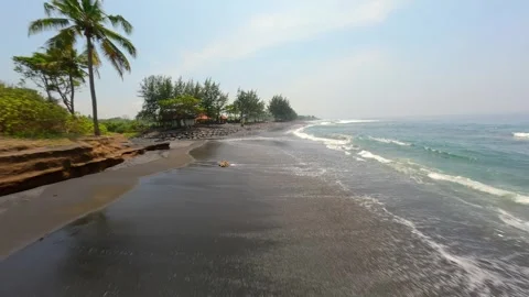 FPV drone flight over volcanic black sand beach with palm trees, Bali Indonesia Stock Footage 308232723