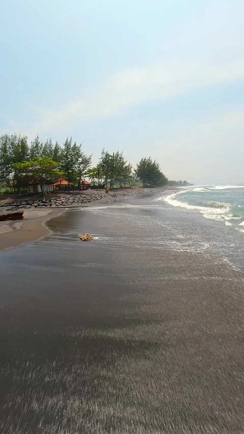 FPV drone flight over volcanic black sand beach with palm trees, Bali Indonesia Stock Footage 308232736