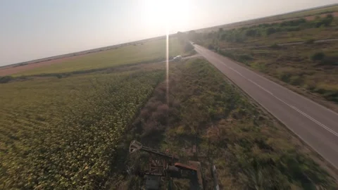 FPV drone flight past oil pumpjack over sunflower field near Shabla, Bulgaria. Видео 342136784