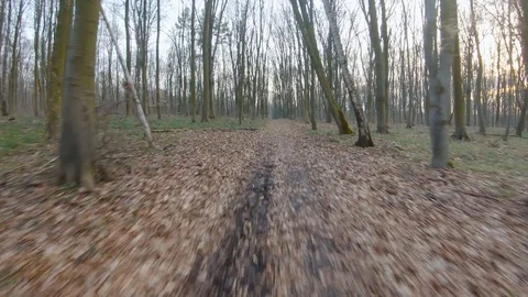 FPV drone flight quickly and maneuverable through the forest in early spring Stock Footage 126349276