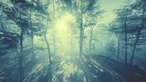 FPV drone flight quickly and maneuverable through an autumn forest at sunset Video stock 234386372