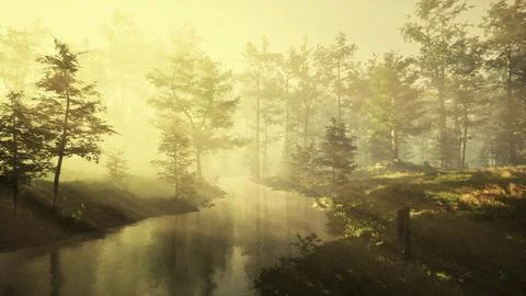 FPV drone flight quickly and maneuverable through an autumn forest at sunset Stock Illustration
