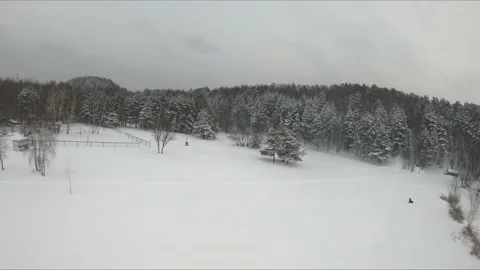 Fpv drone flight in a snowy forest Stock Footage 171154231