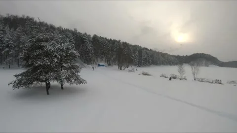 Fpv drone flight in a snowy forest Stock Footage 171155750