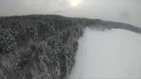 Fpv drone flight in a snowy forest Stock Footage 171156395
