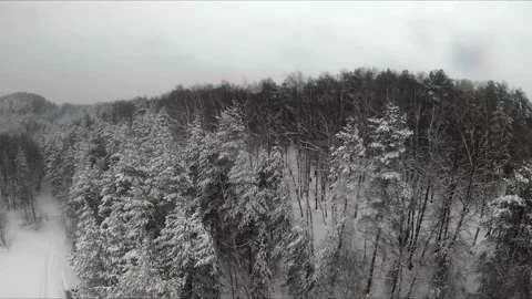 Fpv drone flight in a snowy forest Stock Footage 171156401