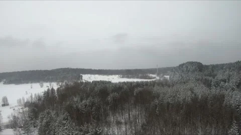 Fpv drone flight in a snowy forest Stock Footage 171161262