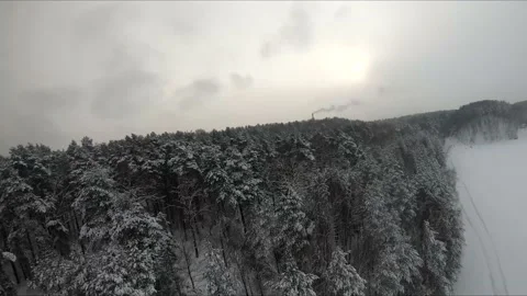 Fpv drone flight in a snowy forest Stock Footage 171161462