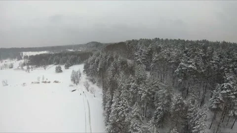 Fpv drone flight in a snowy forest Stock Footage 171161588