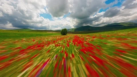 FPV Drone Flight Through Cloud and Over Meadow in Umbria, Italy Video stock 305799797