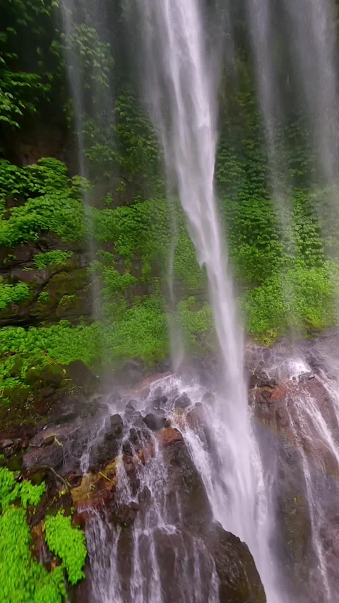 FPV drone flight through jungle and cascading stream of Sekumpul Waterfall, Bali Stock Footage 315274130