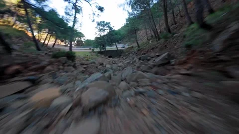 FPV Drone Flight Through Mountain Forest in Andalusia, Spain Stock Footage 323396951
