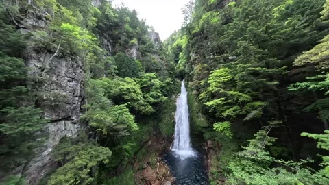 FPV Drone Flight Toward a Waterfall in Lush Green Forest During Fresh Spring Video stock 335761093