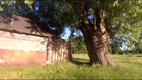 Fpv drone flight in village Stock Footage 208650233
