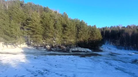 Fpv drone flight in the winter forest Stock Footage 173378026