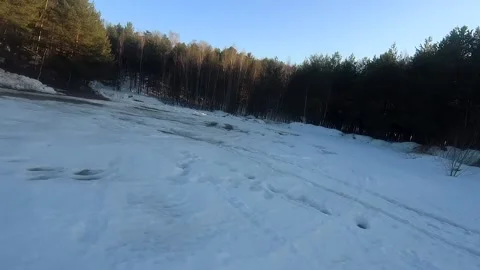 Fpv drone flight in the winter forest Stock Footage 173378027