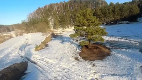 Fpv drone flight in the winter forest Stock Footage 173378043