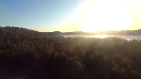 Fpv drone flight in the winter forest Stockbeeldmateriaal 173378069