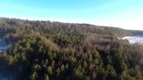 Fpv drone flight in the winter forest Stock Footage 173378071
