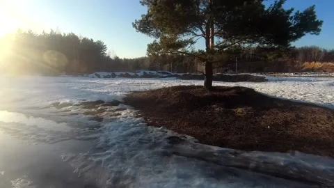 Fpv drone flight in the winter forest Stock Footage 173378072