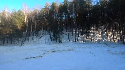 Fpv drone flight in the winter forest Stock Footage 173378096