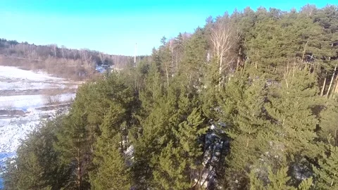 Fpv drone flight in the winter forest Stock Footage 173378128