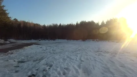 Fpv drone flight in the winter forest Stock Footage 173378146