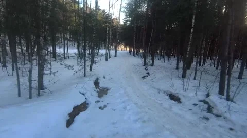 Fpv drone flight in the winter forest Stock Footage 173378156