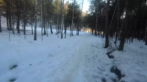 Fpv drone flight in the winter forest Stock Footage 173378230