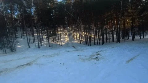 Fpv drone flight in the winter forest Stock Footage 173378235