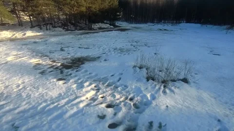 Fpv drone flight in the winter forest Stock Footage 173378236