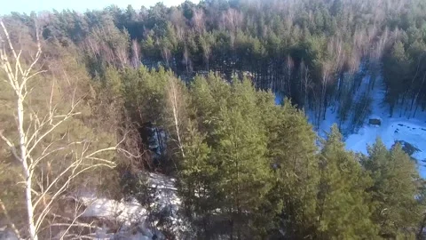Fpv drone flight in the winter forest Stock Footage 173378306